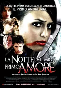 Plakat filmu La Notte del mio primo amore