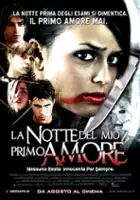 plakat filmu La Notte del mio primo amore