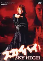 plakat filmu Sky High