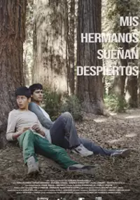 Plakat filmu Mis hermanos sueñan despiertos