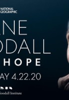 plakat filmu Jane Goodall: nadzieja na przyszłość