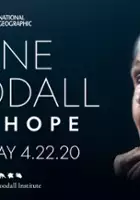 plakat filmu Jane Goodall: nadzieja na przyszłość