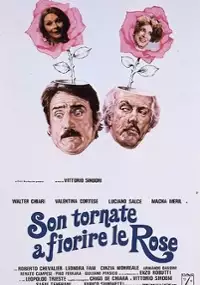 Plakat filmu Son tornate a fiorire le rose