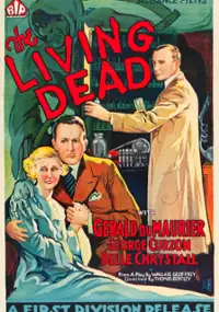 Plakat filmu The Scotland Yard Mystery