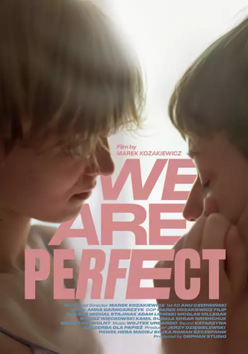 plakat filmu Jesteśmy idealni