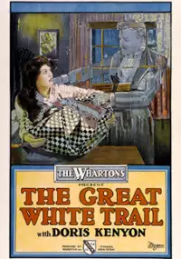 Plakat filmu The Great White Trail