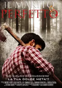Plakat filmu Il Marito Perfetto