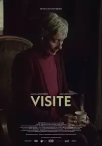 Plakat filmu Visite