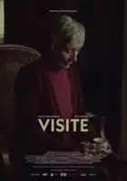 plakat filmu Visite