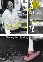 plakat filmu Waiting for Spring