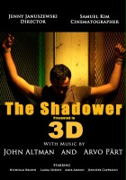 plakat filmu The Shadower in 3D