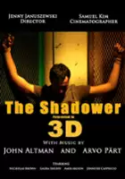 plakat filmu The Shadower in 3D