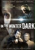 plakat filmu In the Winter Dark