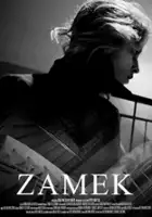 plakat filmu Zamek