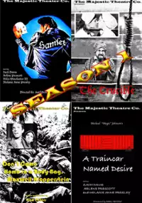 Plakat serialu The Majestic Theater Co.