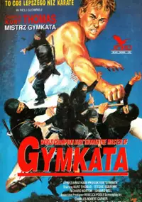 Plakat filmu Mistrz gymkata
