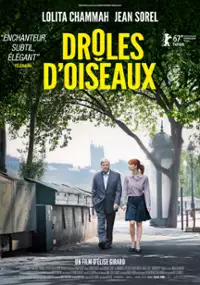 Plakat filmu Dziwne ptaki