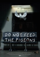 plakat filmu Nie karmić gołębi