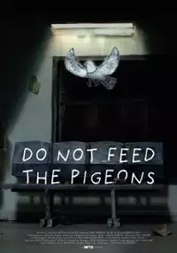 Plakat filmu Nie karmić gołębi