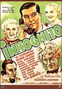 Plakat filmu Inkognito