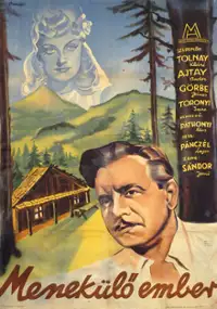 Plakat filmu Menekülö ember