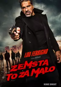 Plakat filmu Zemsta to za mało