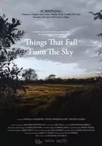 Plakat filmu Things That Fall from the Sky