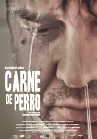 Plakat filmu Carne de perro