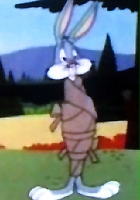 plakat filmu Porywczy królik