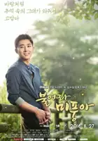 plakat serialu Bool-eo-la mi-poong-a