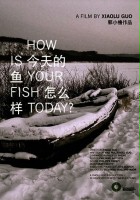 plakat filmu Jaka dziś rybka bierze?