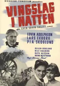 Plakat filmu Trzepot skrzydeł w nocy