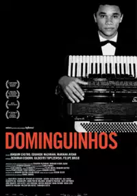 Plakat filmu Dominguinhos