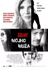 Plakat filmu Zeny mojho muza