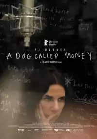 Plakat filmu PJ Harvey. A Dog Called Money