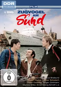 Plakat filmu Zugvogel am Sund