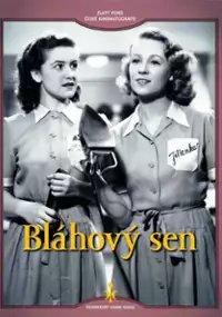 Plakat filmu Bláhový sen