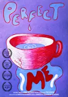 plakat filmuPerfect Me