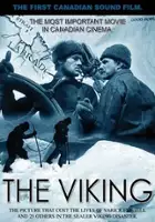 plakat filmu The Viking