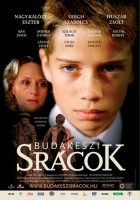 plakat filmu Chłopcy z Budakeszi