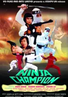 plakat filmu Ninja Champion