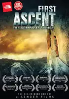 plakat filmu Pierwsze podejście