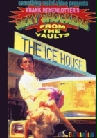 plakat filmu The Ice House