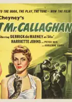 Harriette Johns / Meet Mr. Callaghan