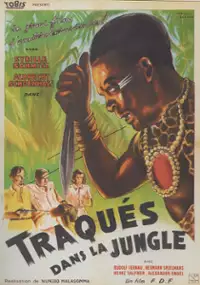 Plakat filmu Vom Schicksal verweht