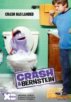 plakat filmu Crash i Bernstein