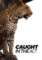 plakat filmu Niewiarygodne sceny z życia zwierząt