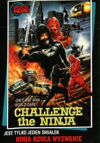 Challenge of the Ninja