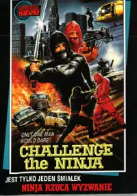 Plakat filmu Ninja rzuca wyzwanie
