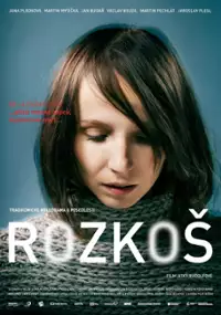 Plakat filmu Rozkosz